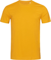 Stedman Organic Crew Neck T 