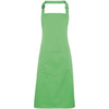 Predpasnik Premier Colours PR154