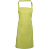 Predpasnik Premier Colours PR154