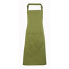Predpasnik Premier Colours PR154