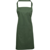 Predpasnik Premier Colours PR154
