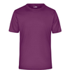 Men's James & Nicholson, JN 358 T-Shirt