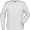 Moški Raglan pulover James & Nicholson JN 8022