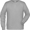 Moški Raglan pulover James & Nicholson JN 8022