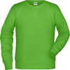 Moški Raglan pulover James & Nicholson JN 8022