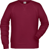 Moški Raglan pulover James & Nicholson JN 8022