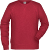 Moški Raglan pulover James & Nicholson JN 8022