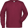 Moški Raglan pulover James & Nicholson JN 8022