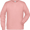 Moški Raglan pulover James & Nicholson JN 8022