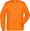 Moški Raglan pulover James & Nicholson JN 8022