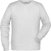 Moški Raglan pulover James & Nicholson JN 8022
