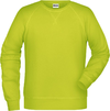 Moški Raglan pulover James & Nicholson JN 8022