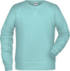 Moški Raglan pulover James & Nicholson JN 8022