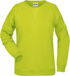 Ženski Raglan pulover James & Nicholson JN 8021